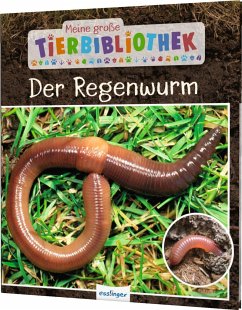 Der Regenwurm / Meine große Tierbibliothek Bd.7 von Esslinger in der Thienemann-Esslinger Verlag GmbH