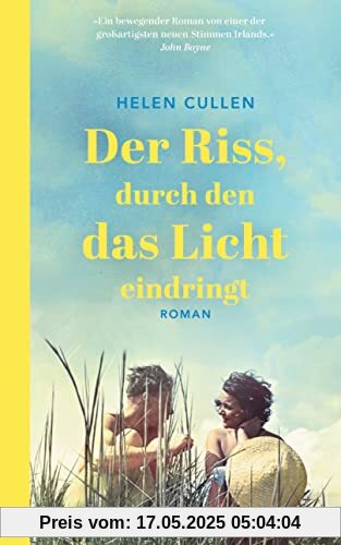 Der Riss, durch den das Licht eindringt: Roman