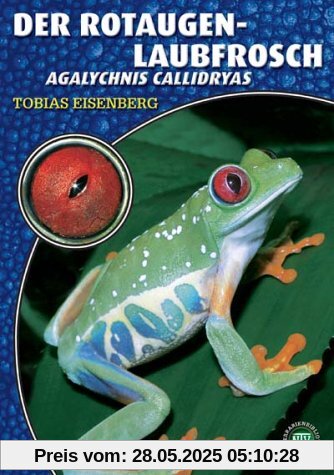 Der Rotaugenlaubfrosch: Agalychnis callidryas