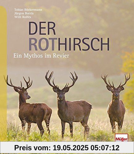 Der Rothirsch: Ein Mythos im Revier