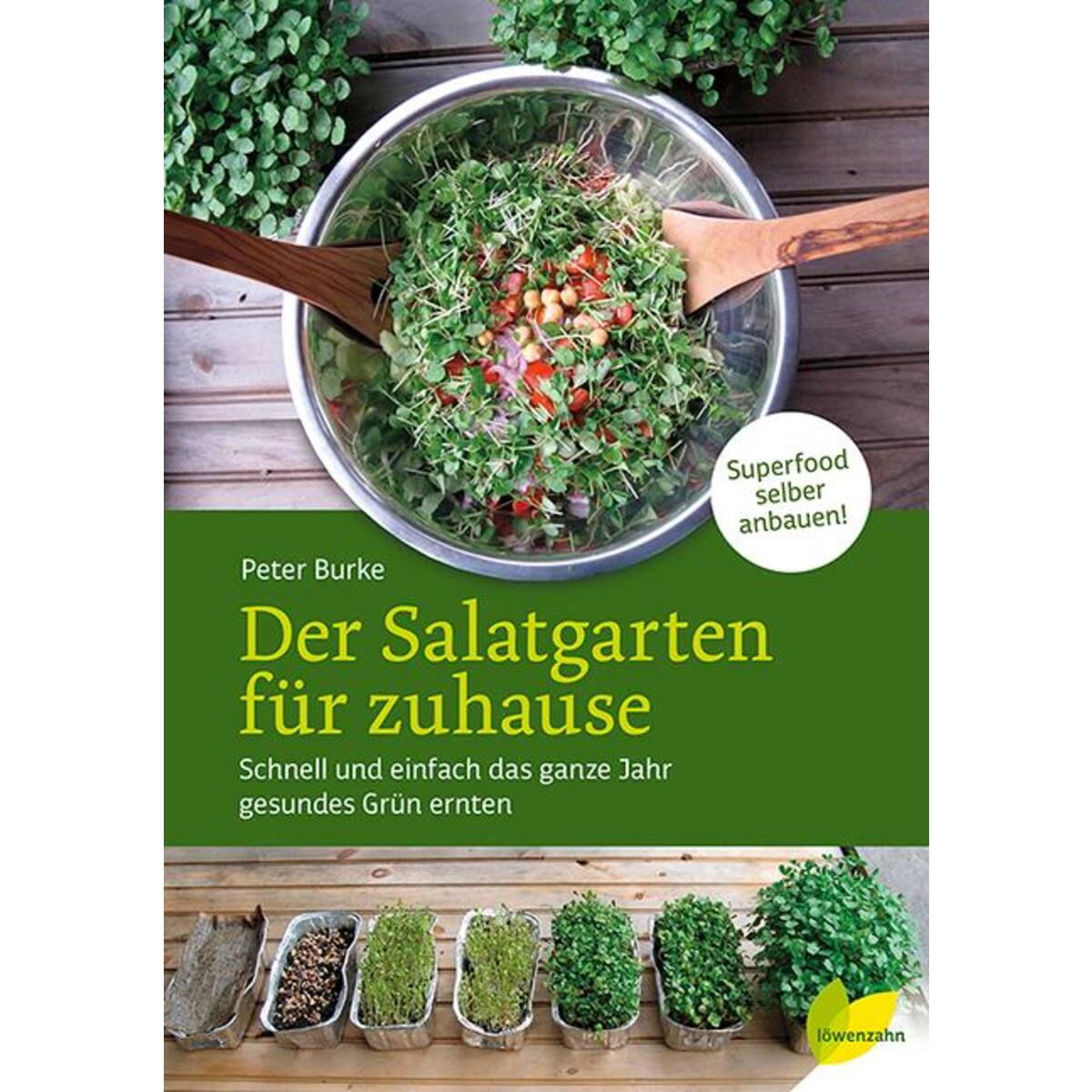 Der Salatgarten für zuhause Der Salatgarten für zuhause von Edition Loewenzahn