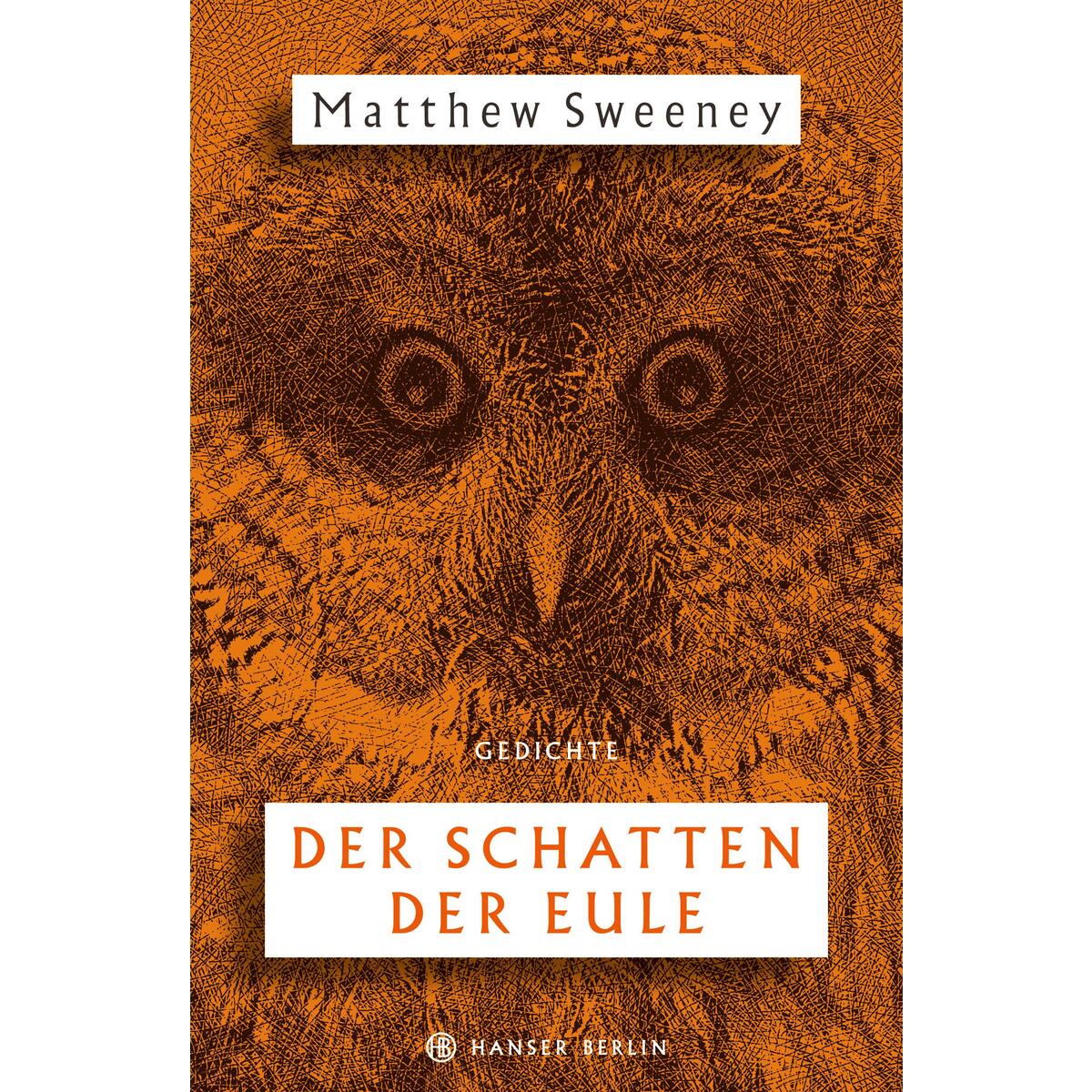 Der Schatten der Eule von Hanser Berlin
