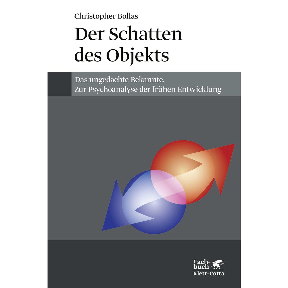 Der Schatten des Objekts von Klett-Cotta Verlag