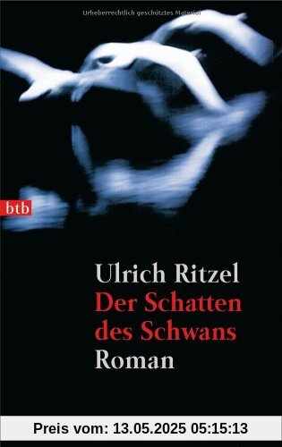 Der Schatten des Schwans