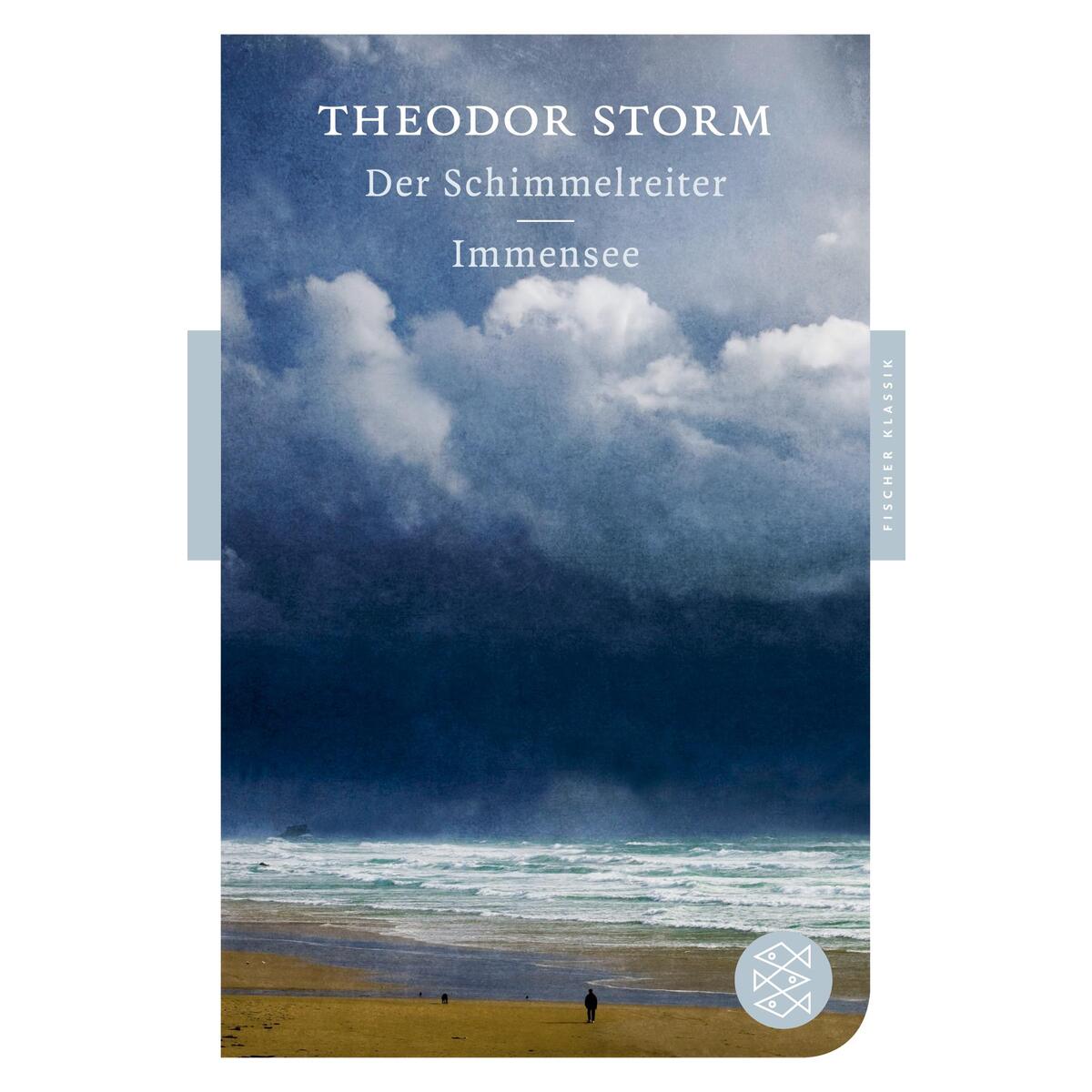 Der Schimmelreiter / Immensee von S. Fischer Verlag