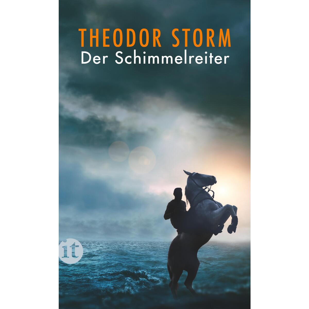 Der Schimmelreiter von Insel Verlag GmbH