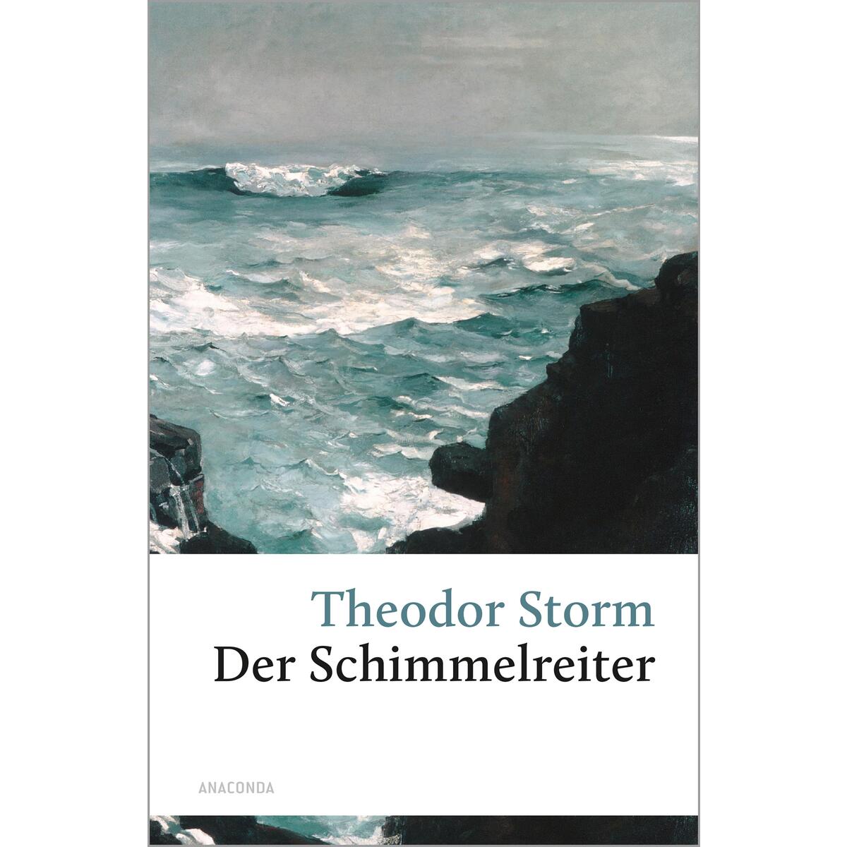 Der Schimmelreiter von Anaconda Verlag