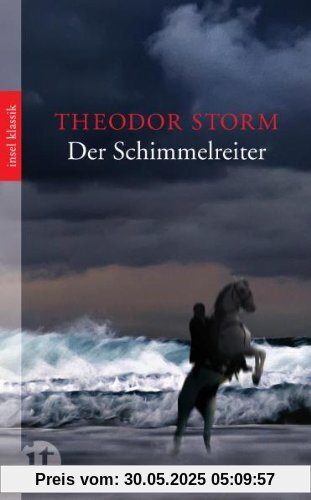 Der Schimmelreiter: Novelle (insel taschenbuch)