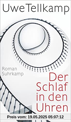 Der Schlaf in den Uhren: Roman