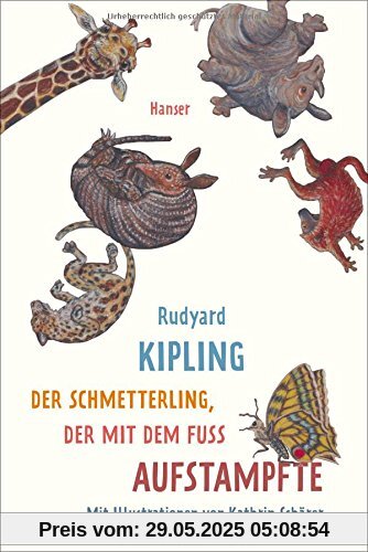 Der Schmetterling, der mit dem Fuß aufstampfte