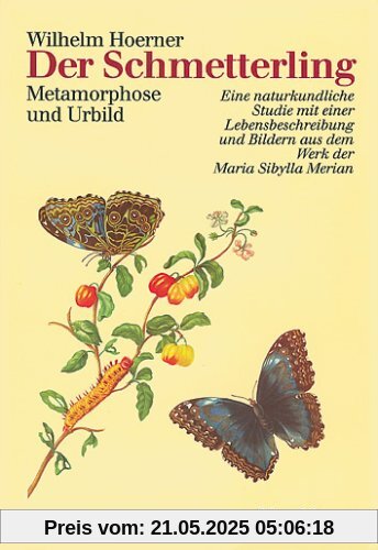 Der Schmetterling. Metamorphose und Urbild. Eine naturkundliche Studie mit einer Lebensbeschreibung
