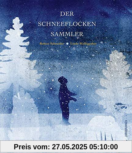 Der Schneeflockensammler