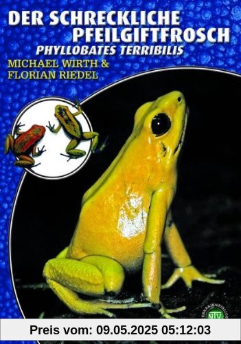 Der Schreckliche Pfeilgiftfrosch: Phyllobates terribilis