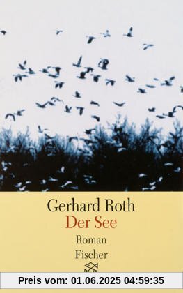 Der See: Roman