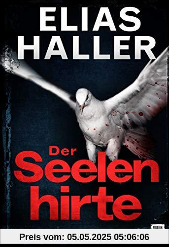 Der Seelenhirte (Ein Klara-Frost-Thriller, Band 3)