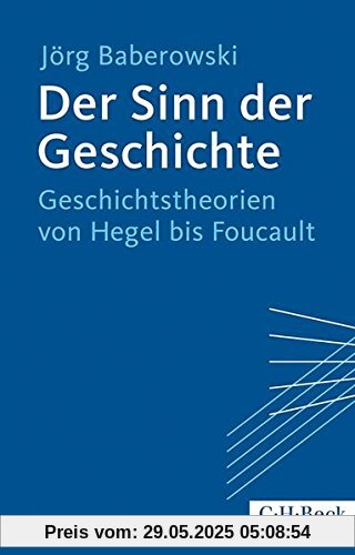 Der Sinn der Geschichte: Geschichtstheorien von Hegel bis Foucault
