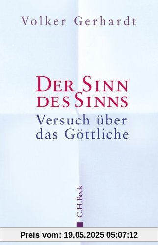 Der Sinn des Sinns: Versuch über das Göttliche