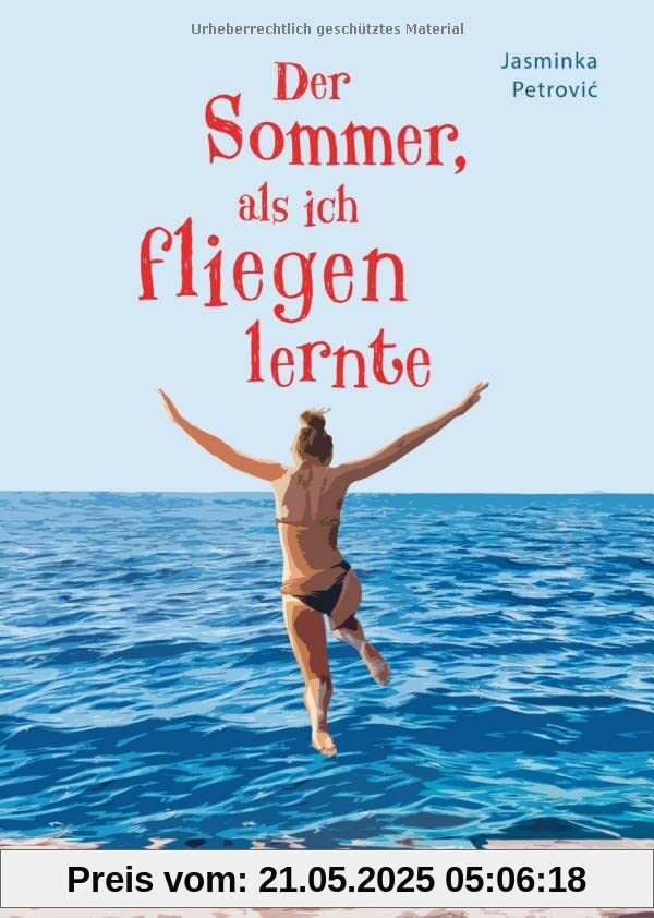 Der Sommer, als ich fliegen lernte