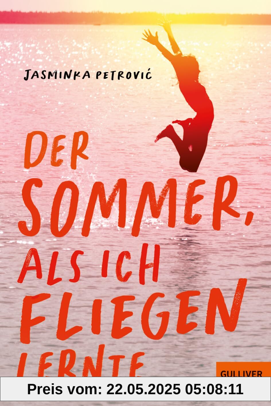 Der Sommer, als ich fliegen lernte
