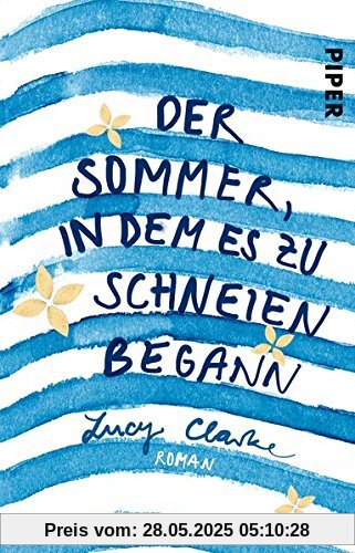 Der Sommer, in dem es zu schneien begann: Roman