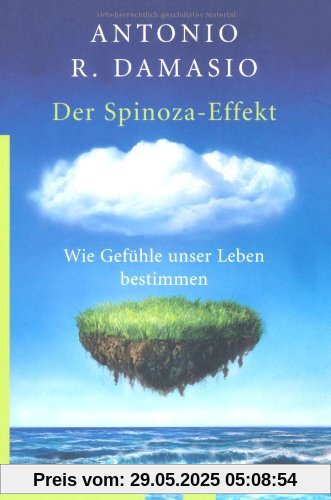 Der Spinoza-Effekt: Wie Gefühle unser Leben bestimmen