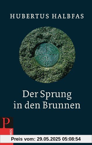 Der Sprung in den Brunnen - Eine Gebetsschule