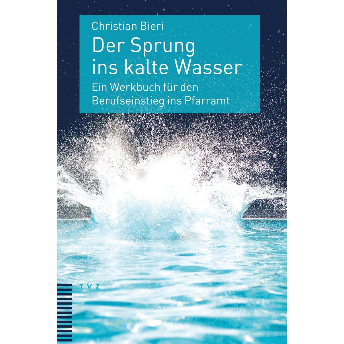 Der Sprung ins kalte Wasser von Theologischer Verlag Ag