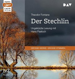 Der Stechlin von Der Audio Verlag, Dav