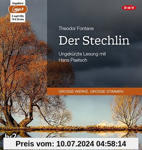 Der Stechlin: Ungekürzte Lesung (2 mp3-CDs)