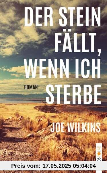 Der Stein fällt, wenn ich sterbe: Roman (Lenos Polar)