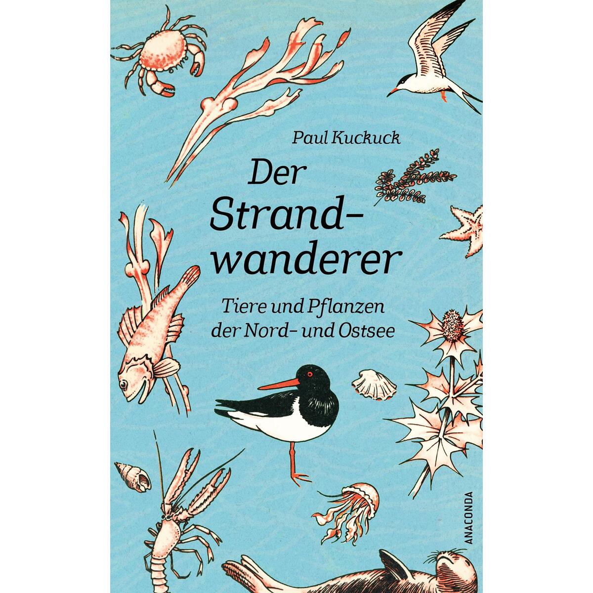 Der Strandwanderer. Tiere und Pflanzen der Nord- und Ostsee Der Strandwanderer. Tiere und Pflanzen der Nord- und Ostsee von Anaconda Verlag