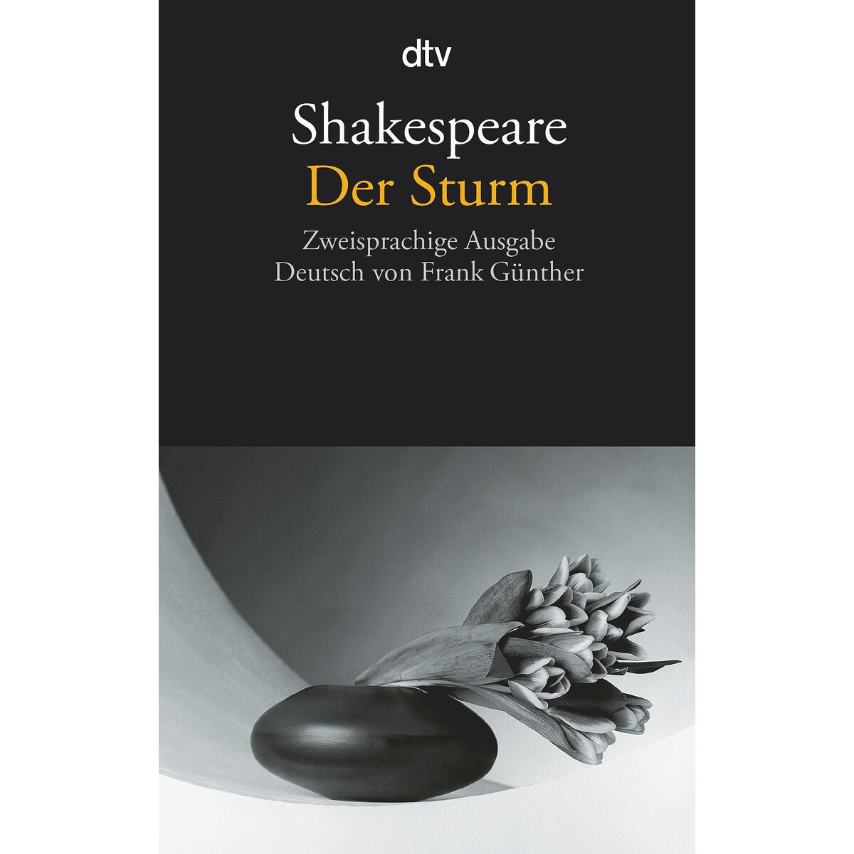 Der Sturm von dtv Verlagsgesellschaft