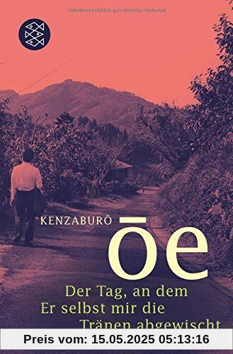 Der Tag, an dem Er selbst mir die Tränen abgewischt: Roman