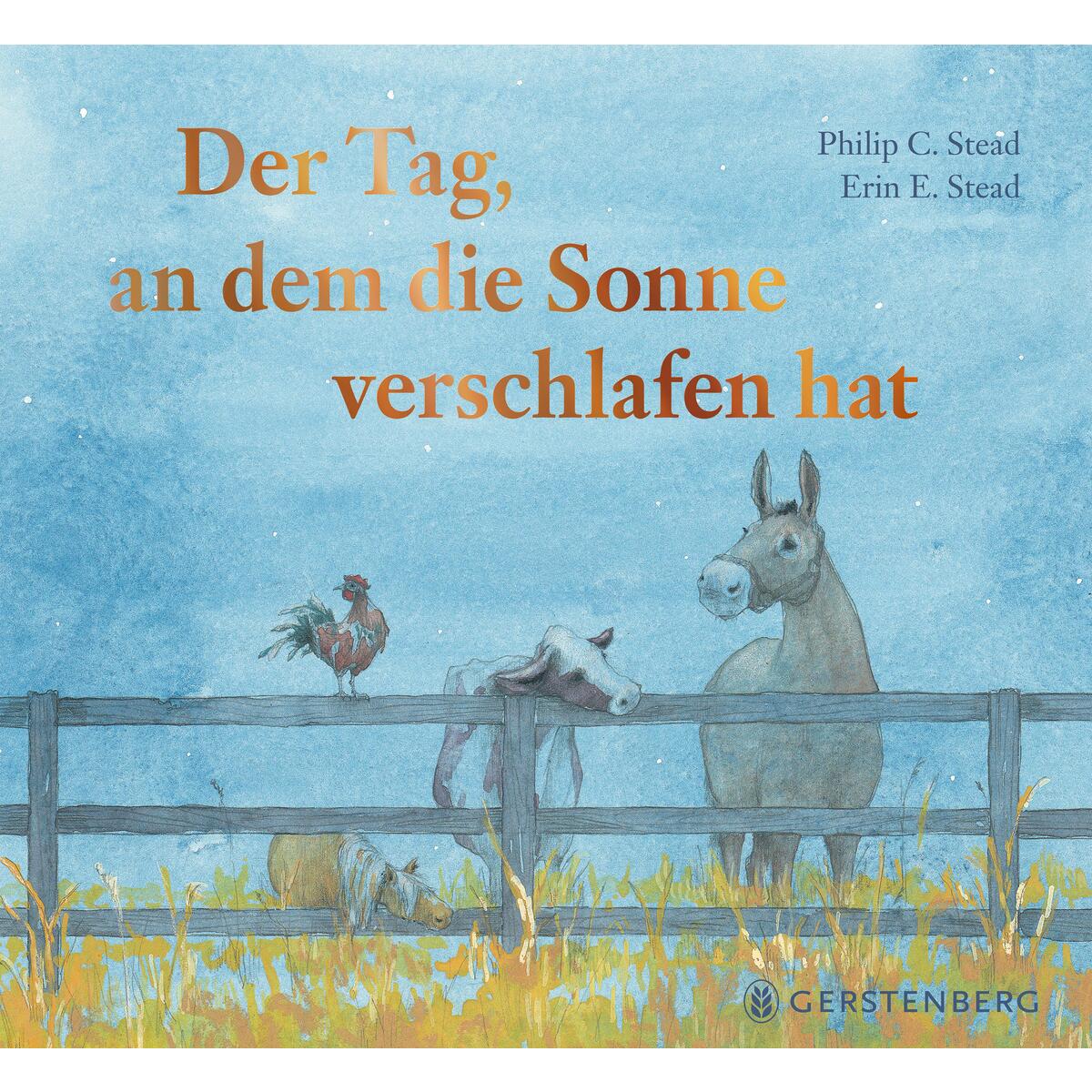 Der Tag, an dem die Sonne verschlafen hat von Gerstenberg Verlag