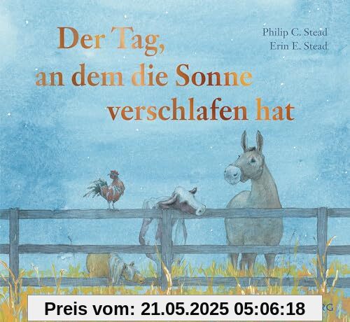 Der Tag, an dem die Sonne verschlafen hat