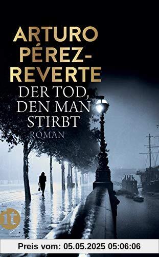 Der Tod, den man stirbt: Roman (insel taschenbuch)