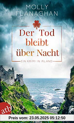 Der Tod bleibt über Nacht: Ein Krimi in Irland (Fiona O'Connor ermittelt, Band 2)