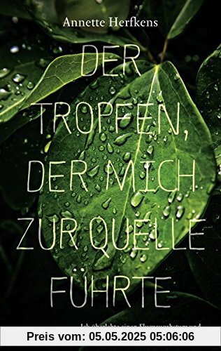 Der Tropfen, der mich zur Quelle führte: Ich überlebte einen Flugzeugabsturz und fand in meinem Inneren die Kraft zu leben (Erfahrungen)