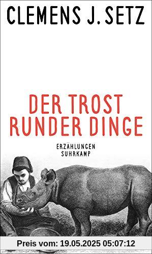 Der Trost runder Dinge: Erzählungen