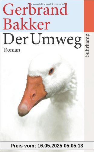 Der Umweg: Roman (suhrkamp taschenbuch)