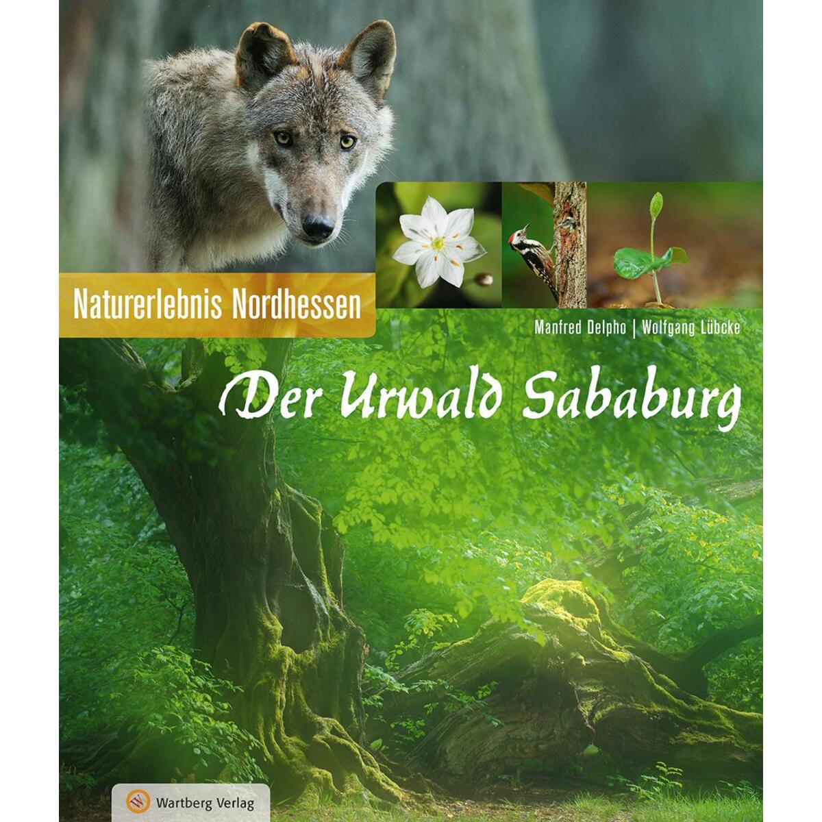 Der Urwald Sababurg von Wartberg Verlag