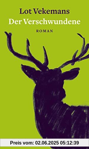 Der Verschwundene: Roman