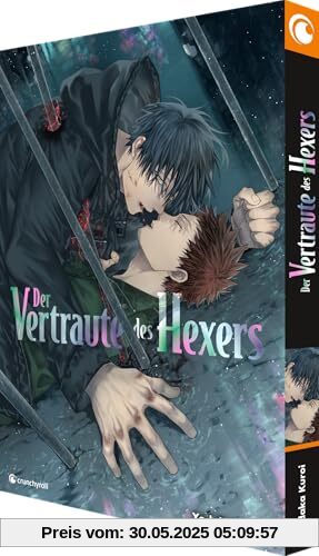 Der Vertraute des Hexers