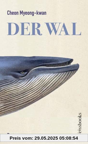Der Wal Der Wal