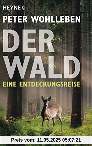 Der Wald: Eine Entdeckungsreise