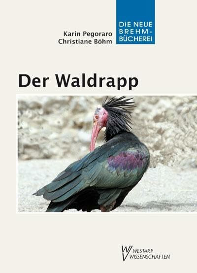 Der Waldrapp: Geronticus eremita – Ein Glatzkopf in Turbulenzen: Ein Glatzkopf im Aufwind Der Waldrapp: Geronticus eremita – Ein Glatzkopf in Turbulenzen: Ein Glatzkopf im Aufwind