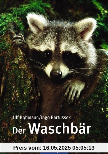 Der Waschbär