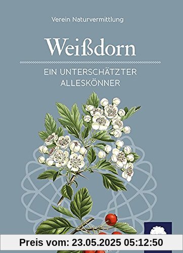 Der Weißdorn: Ein unterschätzter Alleskönner Der Weißdorn: Ein unterschätzter Alleskönner
