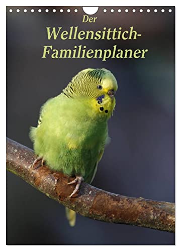 Der Wellensittich-Familienplaner (Wandkalender 2024 DIN A4 hoch), CALVENDO Monatskalender