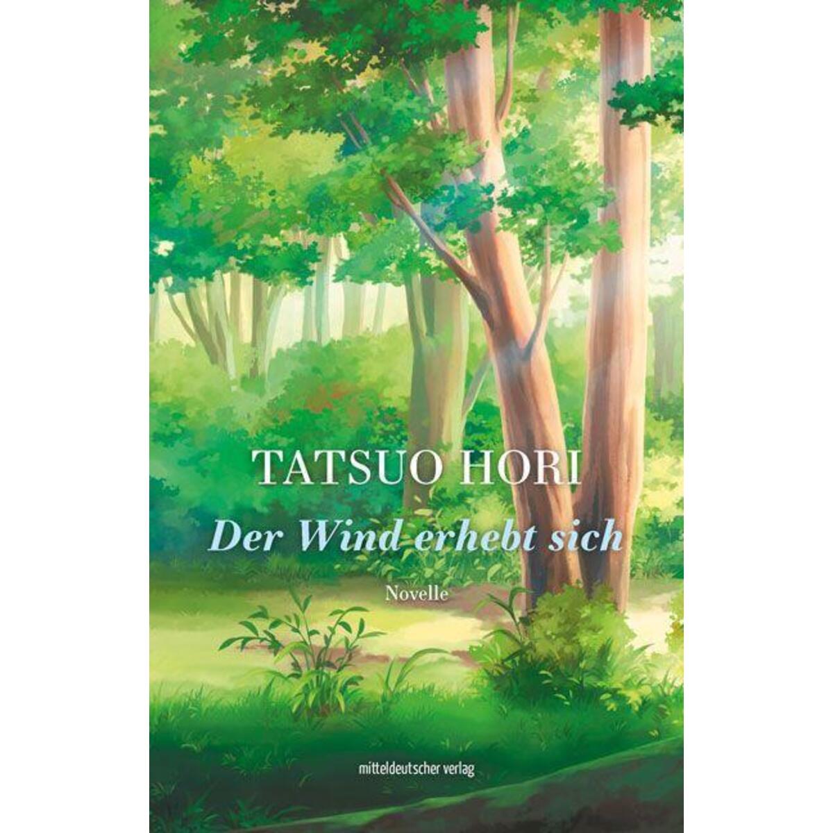 Der Wind erhebt sich Der Wind erhebt sich von Mitteldeutscher Verlag